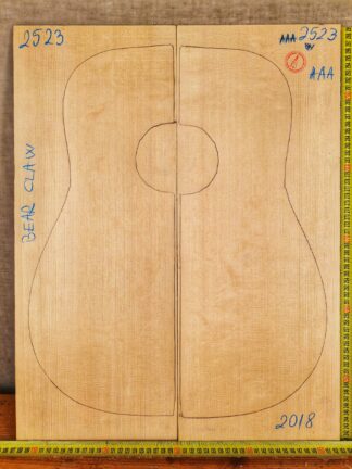 Guitar western No.2523 Top