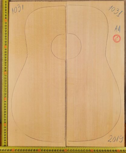 Guitar western No.1031 Top