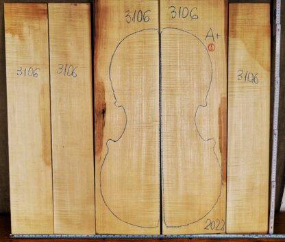 Cello No.3106 Back and Sides