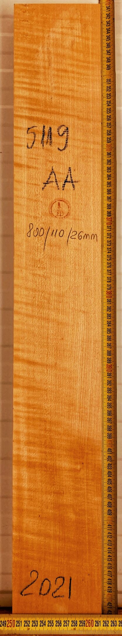 Guitar western No.5119 Neck