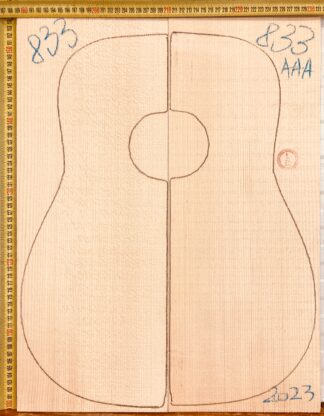 Guitar western No.833 Top