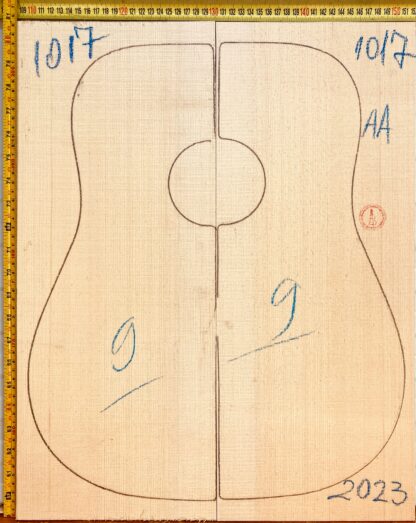 Guitar western No.1017 Top