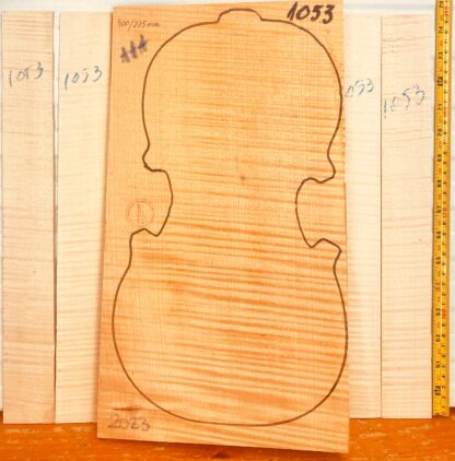 Violin No.1053 One piece Back and Sides