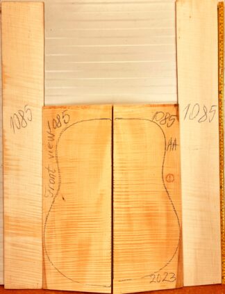 Guitar archtop No.1085 Back and Sides