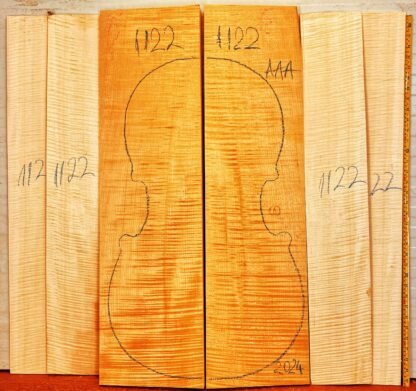 Cello No.1122 Back and Sides