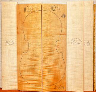 Cello No.1123 Back and Sides