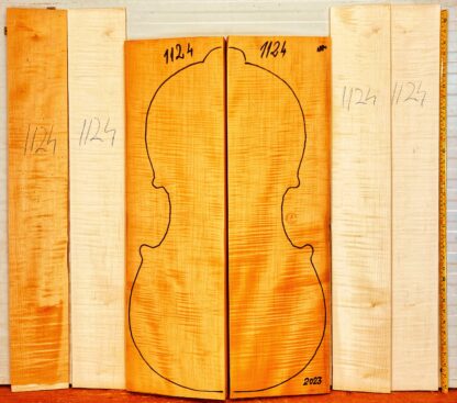 Cello No.1124 Back and Sides