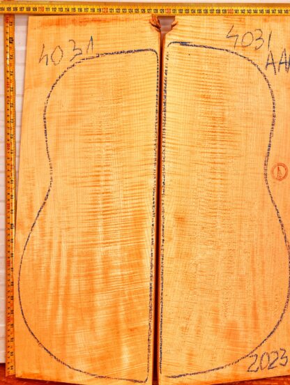 Guitar archtop No.4031 Back and Sides