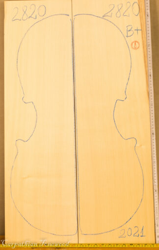 cello spruce top