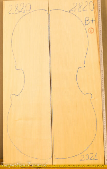 cello spruce top