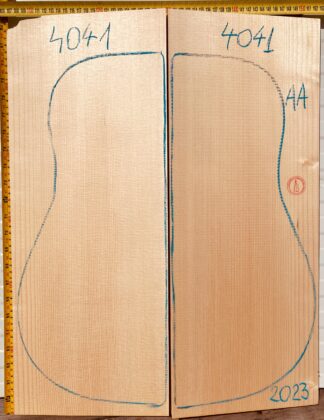 Guitar archtop No.4041 Top