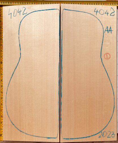 Guitar archtop No.4042 Top