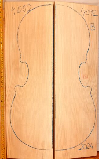 Cello No.4092 Top