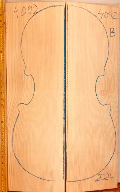 Cello No.4092 Top