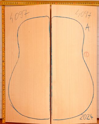 Guitar archtop No.4097 Top