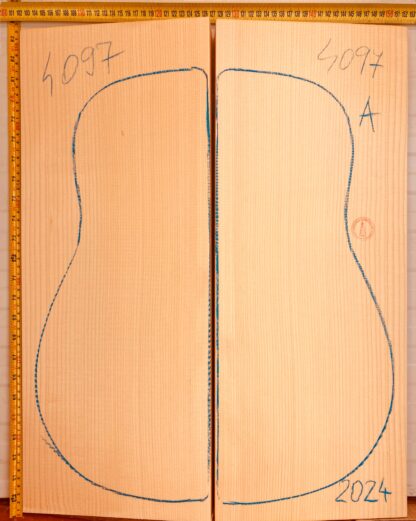 Guitar archtop No.4097 Top