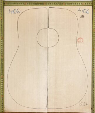 Guitar western No.4106 Top