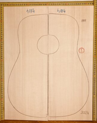 Guitar western No.4114 Top