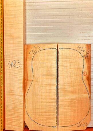 Guitar archtop No.4123 Back and Sides