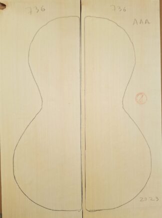 parlor spruce top