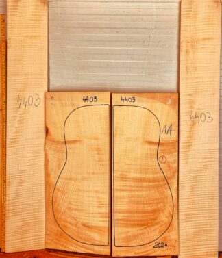 Guitar archtop No.4403 Back and Sides