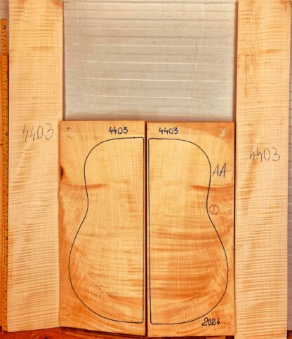 Guitar archtop No.4403 Back and Sides