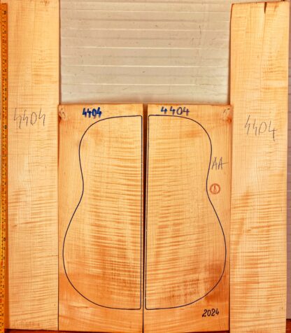 Guitar archtop No.4404 Back and Sides