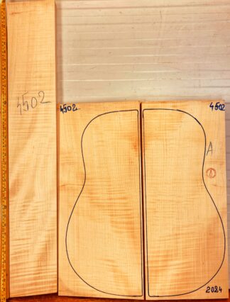 Guitar archtop No.4502 Back and Sides