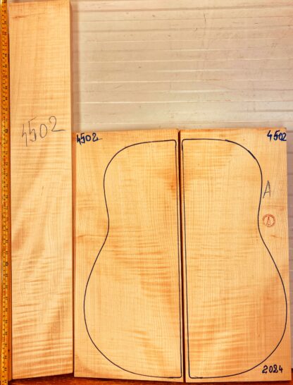 Guitar archtop No.4502 Back and Sides