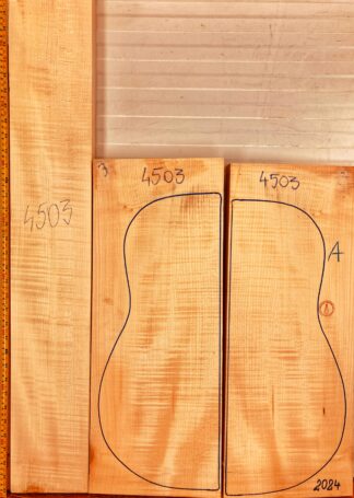 Guitar archtop No.4503 Back and Sides