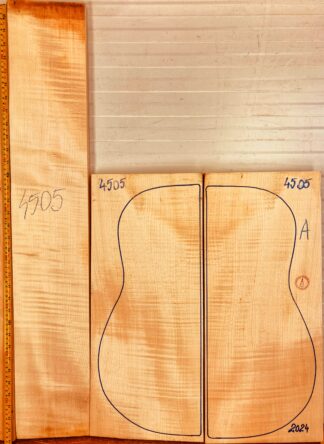 Guitar archtop No.4505 Back and Sides