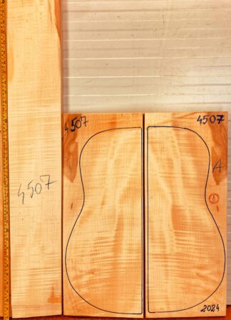 Guitar archtop No.4507 Back and Sides