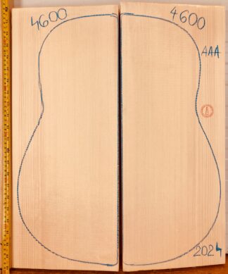 Guitar archtop No.4600 Top