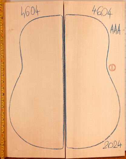 Guitar archtop No.4604 Top