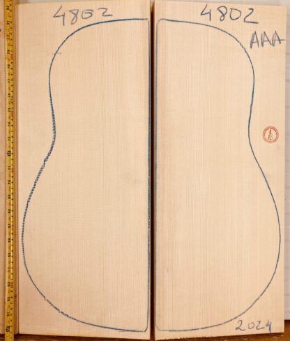 Archtop guitar top