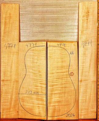 Guitar archtop No.4771 Back and Sides