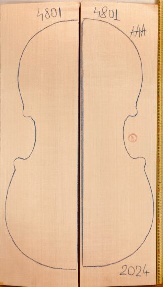 Cello No.4801 Top