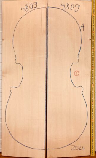 Cello No.4809 Top