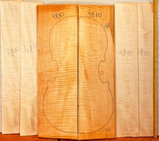 cello curly maple back and sides