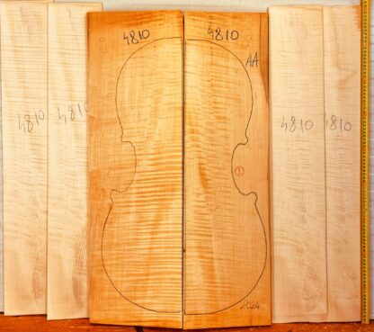 cello curly maple back and sides