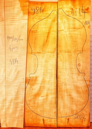 Double bass No.4814 Back and Sides