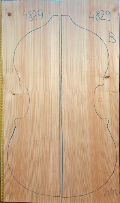 Double bass No.4829 Top