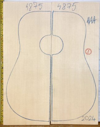 Guitar western No.4875 Top