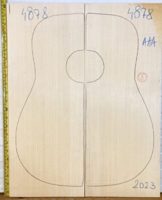 Guitar western No.4878 Top