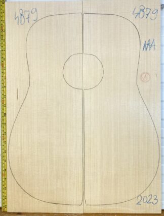 Guitar western No.4879 Top