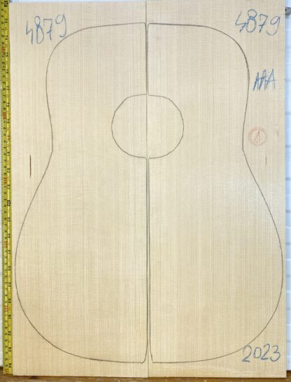 Guitar western No.4879 Top