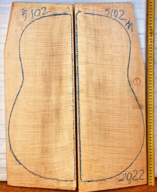 Guitar archtop No.5102 Back and Sides