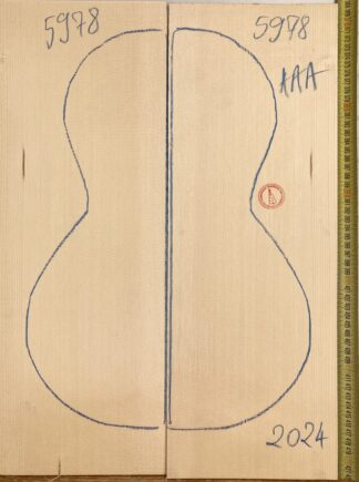 Parlor/Ukulele/Portuguese Guitar No.5978 Top