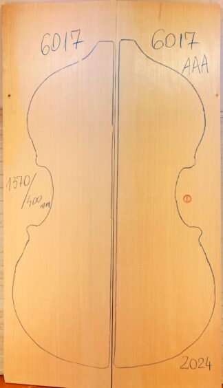 Double bass No.6017 Top