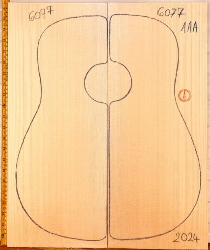 Guitar western No.6077 Top